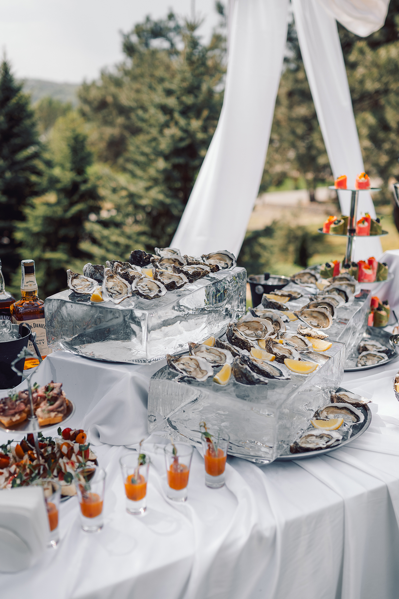 кейтеринг Дніпро Pride IMG 6029 2